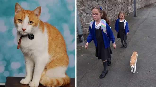 Ziggy the cat managed to sneak into the school pictures