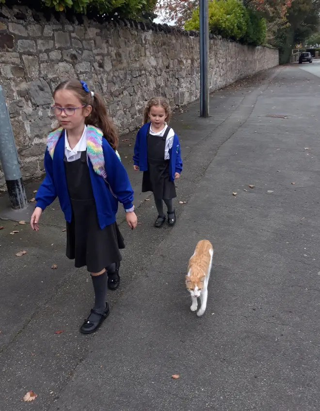 Ziggy pictured following Megan and Chloe to school