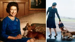 The Queen owned 30 corgis across her 70 year reign