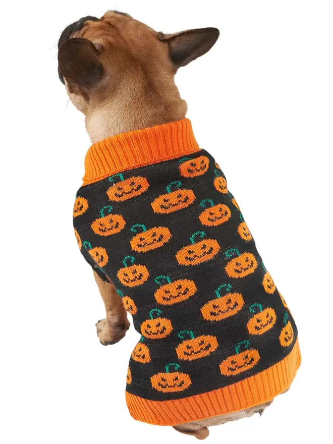Pumpkin jumper for dogs