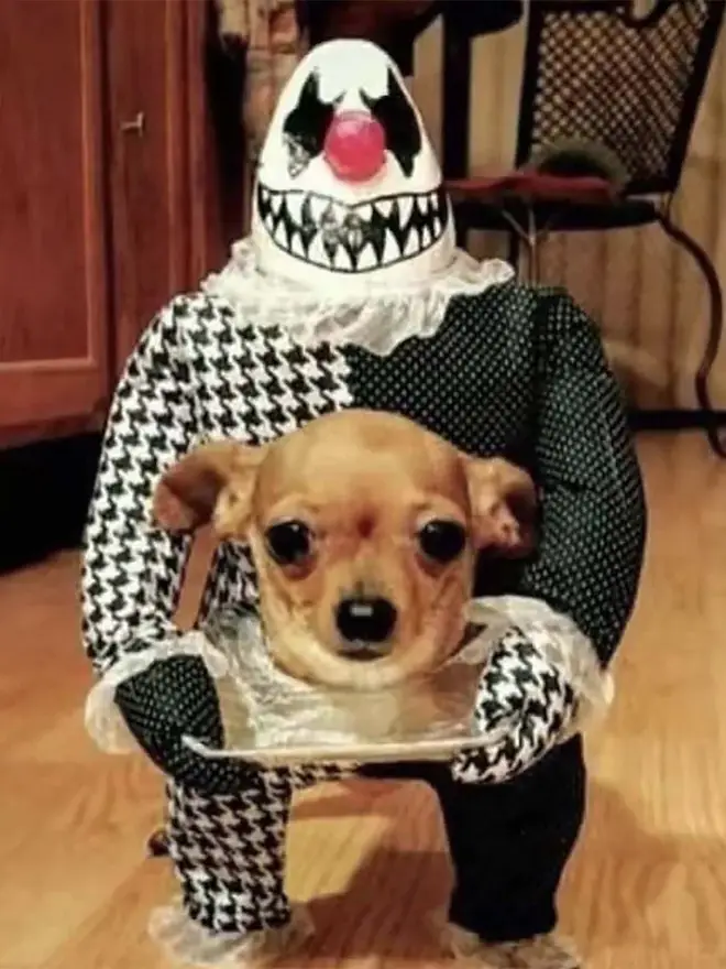 A winning Halloween dog costume
