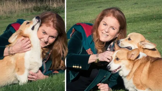 Sarah Ferguson poses with the late Queen's corgis on her birthday