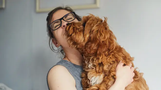 A doctor has explained why you should never kiss your dog on the mouth