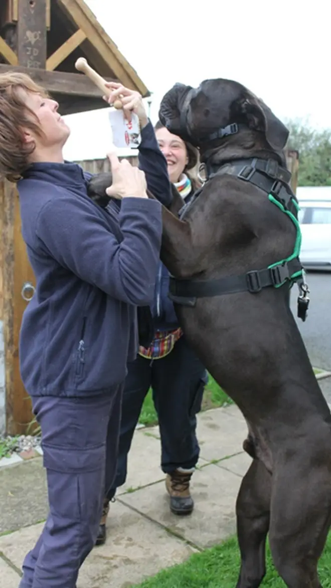 He stands 6ft tall when stretched on his hind legs.