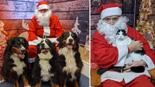 You can now have your dogs and cats meet Father Christmas