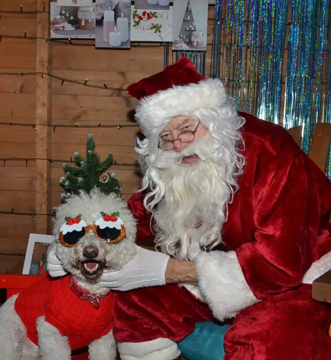 Your dogs can get in the festive spirit with a visit to Santa Claus