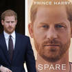 Prince Harry could return to the UK to promote his new book