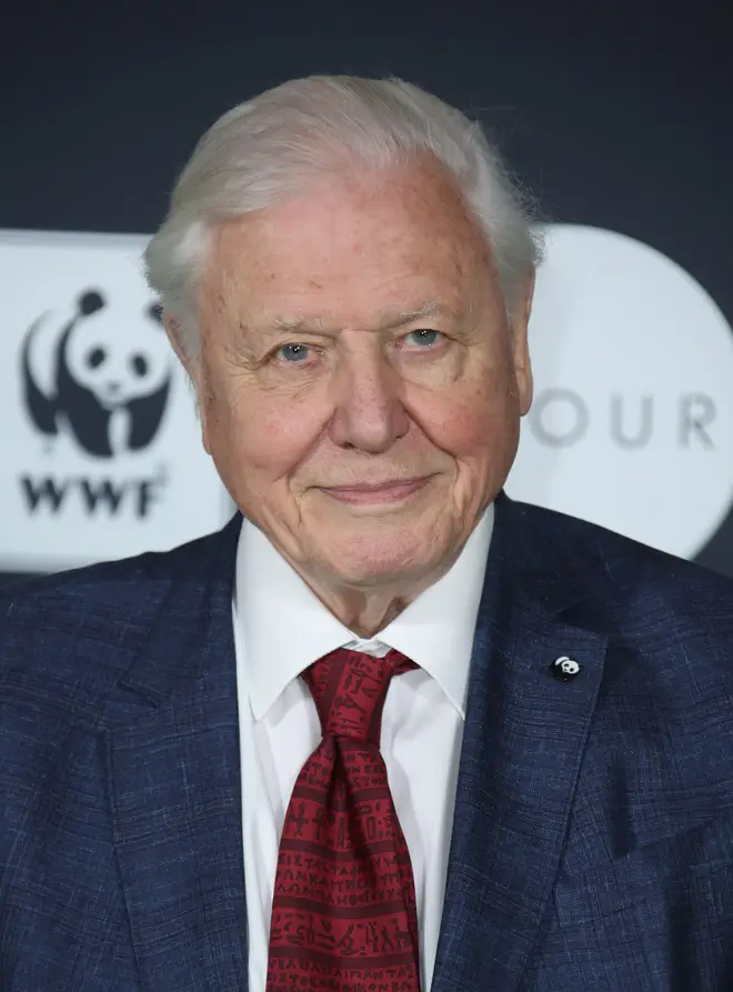 National treasure Sir David Attenborough urges us to tackle climate change