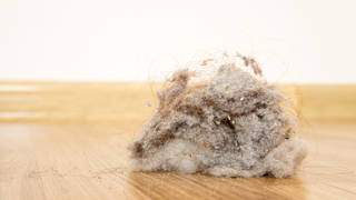 Dust could be making you fat! Time for a spring clean.