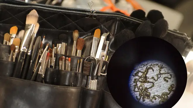 If you're not cleaning your brushes regularly there could be bugs living in them