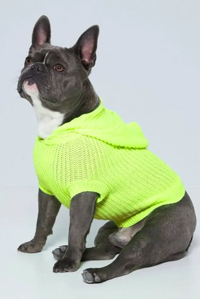 The cute range of pet jumpers cost just £8 come in sizes small, medium and large