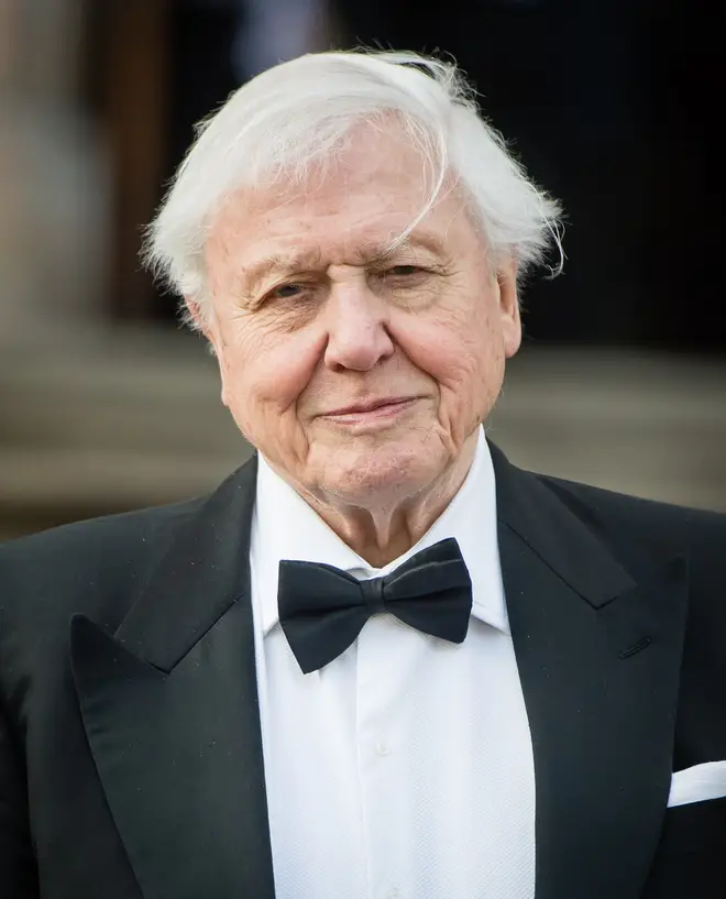 David Attenborough has urged the public to tackle climate change in his new documentary