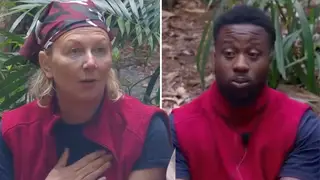 I'm A Celebrity viewers confused by stars' reactions to trial exemptions