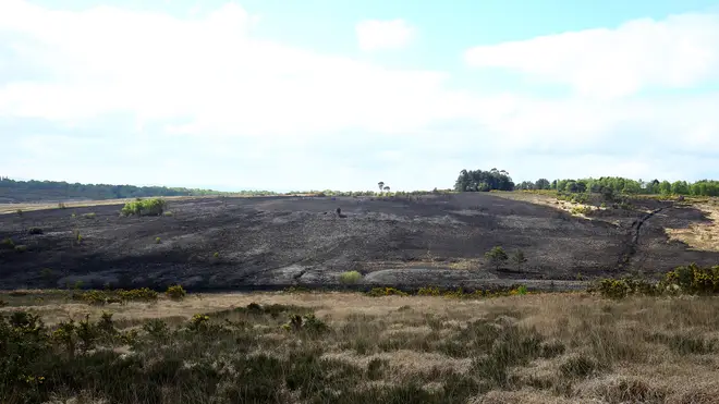 The scene of a fire at Ashdown Forest in East Sussex.