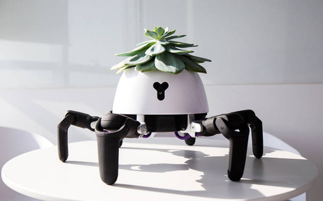 The Vincross HEXA will make sure your plant survives