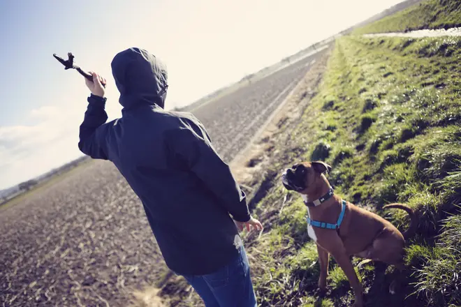 A vet has said playing fetch can be fatal for your pooch