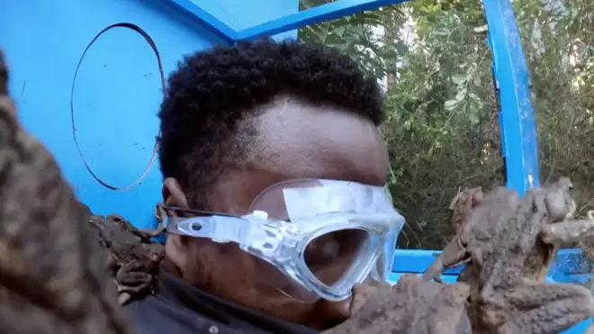 Babatunde tucks his head out of the box to avoid frogs in the Bushtucker Trial