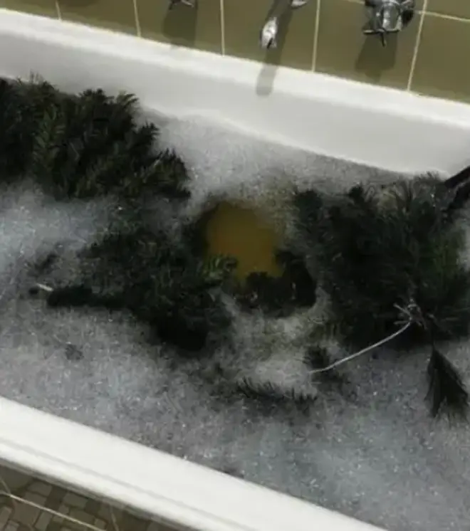 A woman has shared a picture washing her Christmas tree in the bath