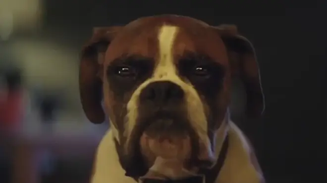 'Buster the Dog' is the most popular John Lewis advert ever