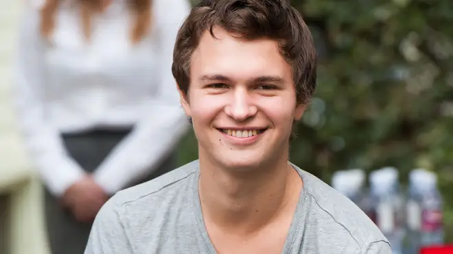 The Fault in Our Stars actor Ansel Elgort will play Theo in the Pulitzer prize-winning adaptation.