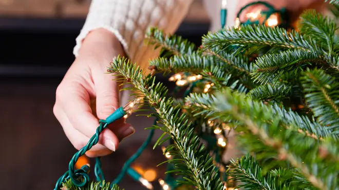 Christmas tree lights aren't as expensive to run as you might think