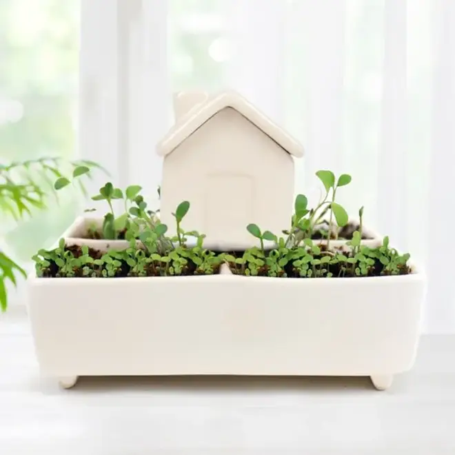 Grow Kit - Self Watering Herb House