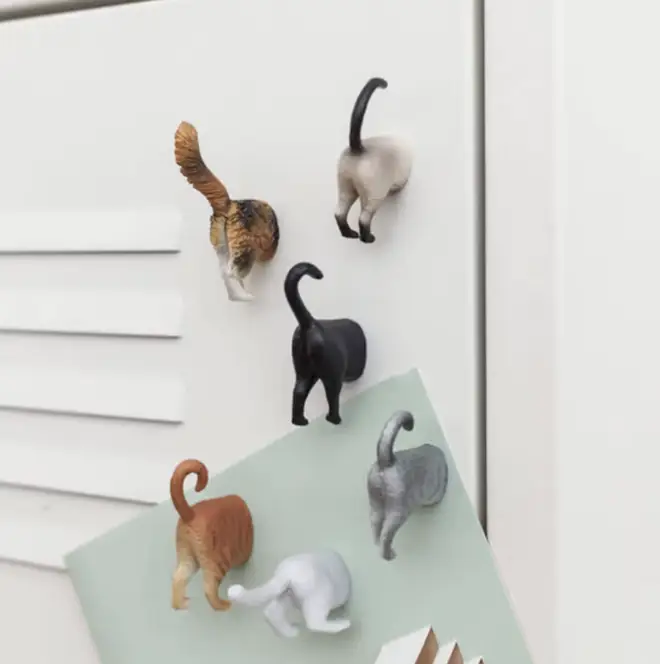 Cat Butt Magnets - Set Of 6