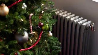 Here's why you shouldn't put your Christmas tree by the radiator