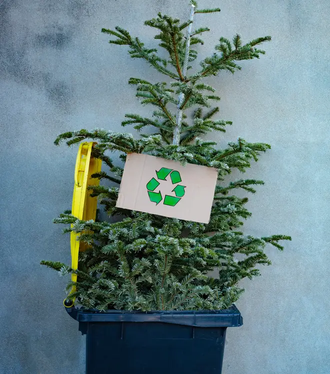If not recycled, trees can end up in landfill which is costly to the environment.