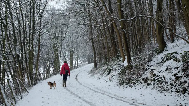 How to keep your dog safe in the snow