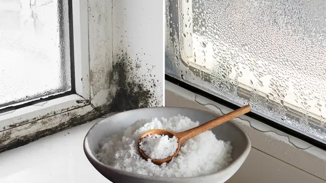 Salt could be the solution to condensation around your windows