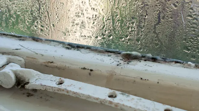 Condensation can cause mould, which can be very dangerous to people living in your house