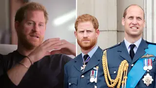 What happened between Prince Harry and Prince William?