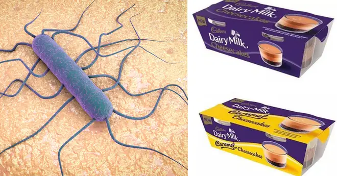 Cadbury Dairy Milk products urgently recalled over 'DEADLY BACTERIA'  concerns - Heart