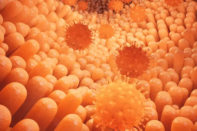 Listeria can cause sepsis and meningitis (stock image)