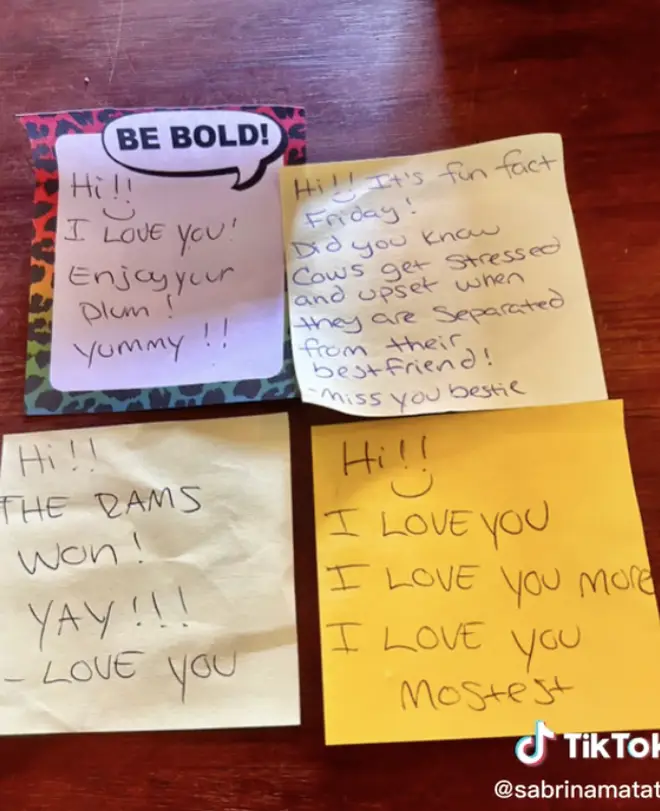 Jordan began writing the lunchbox messages when the girls first started school.