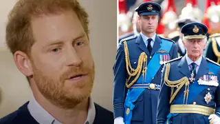 Prince Harry says he 'wants his father and brother' back