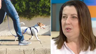 Dog expert says it is 'dangerous' to let teenagers walk dogs for pocket money