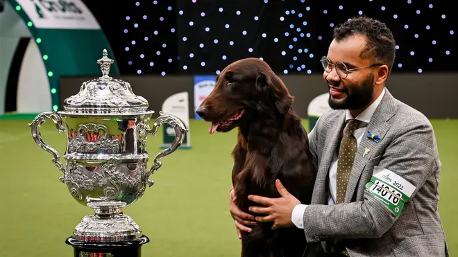Crufts is back for 2023