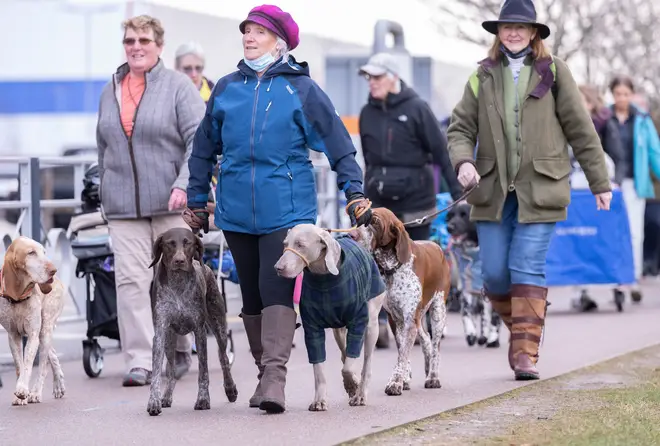 Dogs arrive at Crufts 2022