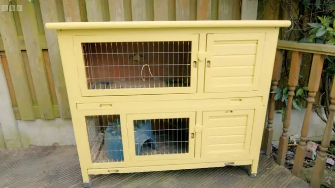 The rabbits were moved outside into a hutch to give the family more room