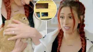Stacey Solomon's Sort Your Life Out hit by 1,500 complaints over 'animal cruelty'
