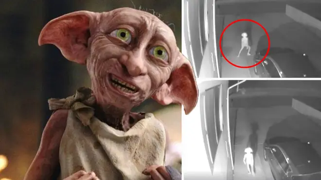 Has Dobby come back from the dead?