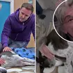 Cerberus the dog was killed off in Coronation Street