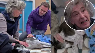 Cerberus the dog was killed off in Coronation Street
