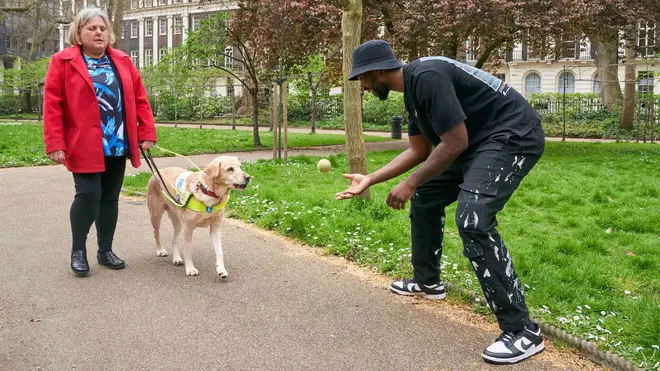 "We kindly ask the public to respect guide dogs&squot; jobs by refraining from petting, talking to, or distracting them while on duty."