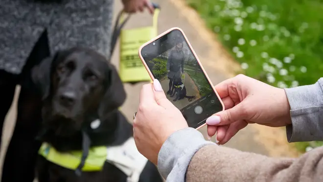 Common ways people distract Guide Dogs include petting, taking photos and offering treats.