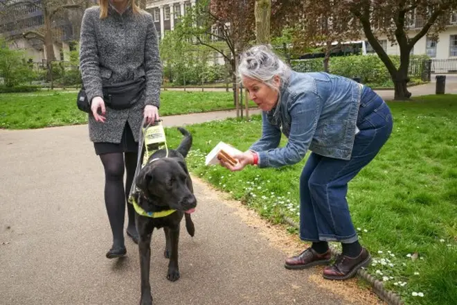 14% of the public said they didn't consider Guide Dogs to be working professionals.