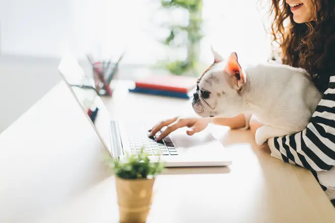 Bring Your Dog To Work Day takes place on 21 June 2019