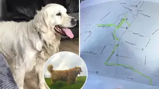 Cooper walked 40 miles to his old family home